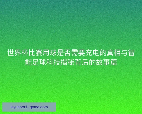 世界杯比赛用球是否需要充电的真相与智能足球科技揭秘背后的故事篇